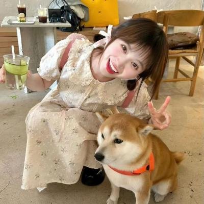 黄色大象